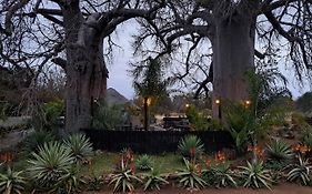 Hambana Lifestyle Lodge